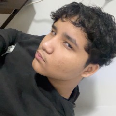 Pedro Lucas Moreira Silva